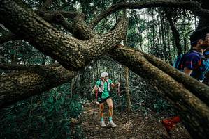 BIB: 
                            <button type="button" onclick="openModal(25665175)" class="btn btn-primary btn-sm float-right btn-popup" data-toggle="modal" data-target=".modal-high-quality">
                        <i class="fas fa-shopping-cart"></i> Add to Cart
                    </button>
                                            <button type="button" onclick="isThisMe(25665175, true)" class="btn btn-success btn-sm float-right btn-popup btn-isme hidden" data-toggle="tooltip" data-placement="bottom" title="นี่คือรูปของคุณใช่ไหม คลิกที่นี่เพื่อเอาเข้าอัลบั้ม">
                        <i class="fas fa-plus"></i> Add to album
                    </button>
                    <button type="button" onclick="isThisMe(25665175, false)" class="btn btn-warning btn-sm float-right btn-popup btn-isnotme hidden">
                        <i class="fas fa-ban"></i> Remove from album
                    </button>